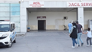 Bir hayvan telef oldu 3 kişi yaralandı