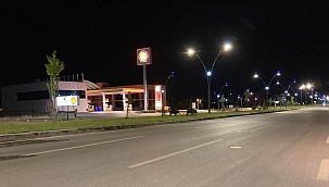 Yaban domuzları böyle görüntülendi