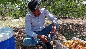 Yavru kargaya eliyle su içirdi! 