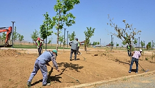 Yeşilyurt'ta çevre düzenleme çalışmaları 