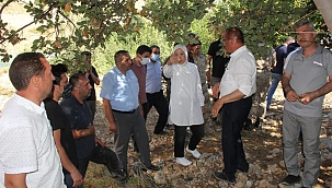 AK Partili Çalık'tan Kozluk'ta İnceleme 