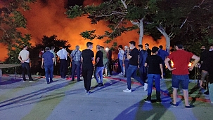 Burdur Gölü'nde sazlıkta yangın 