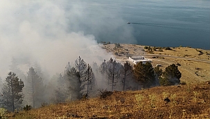 Elazığ'daki orman yangını söndürüldü 
