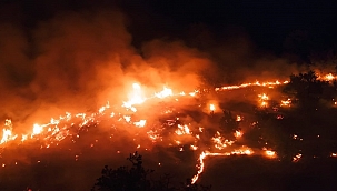 Elazığ'da örtü yangını korkuttu! 