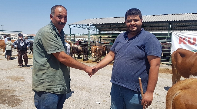 Kurban alışverişlerinde sıkı pazarlık
