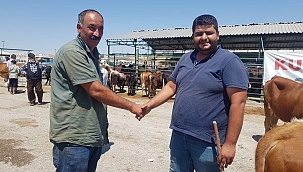 Kurban alışverişlerinde sıkı pazarlık