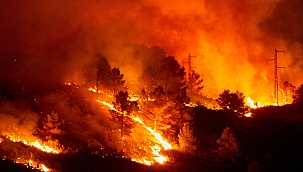 İspanya'da korkutan orman yangını 
