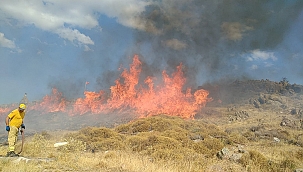 Yangın 18 dönüm araziyi küle çevirdi
