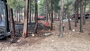 Kahramanmaraş'ta orman yangını 