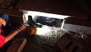 Menfeze düşen kediyi itfaiye kurtardı 