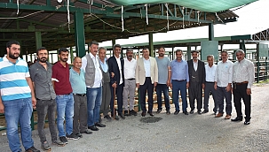 Özcan hayvan pazarını ziyaret etti