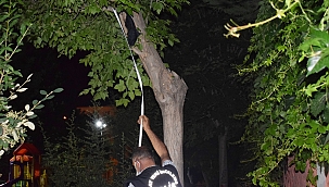 Polis ölmek isteyen genci ipten aldı! 