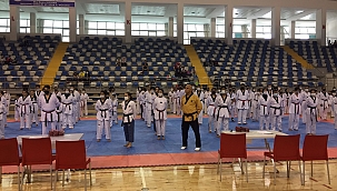 Şahin'den olimpiyat övgüsü 