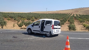 Şanlıurfa'da trafik kazası: 1 ölü 5 yaralı