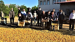 Tatar'dan kayısıya övgü dolu sözler!