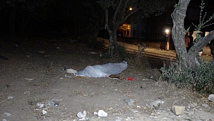 15 yaşındaki genç zeytinlikte ölü bulundu 