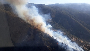 Bozdoğan'da orman yangını 