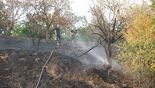 Yangında 10 kayısı ağacı zarar gördü