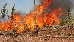 Mazı yolunda tekrar alevler yükseldi 