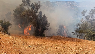 Seydikemer'de bir yangın daha 