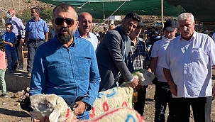 Akçadağ'da koç katım şenliği düzenlendi