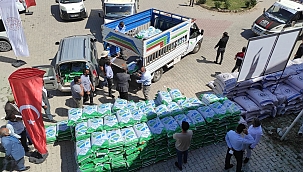 Bölgede kaba yem yetiştiriciliğine DAP desteği 