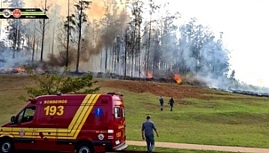 Brezilya'da uçak düştü: 7 ölü 