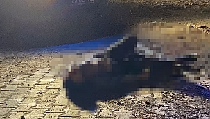 Elazığ'da silahlı kavga: 1 ölü 