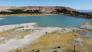 Farkındalık yaratmak için çevre temizliği 