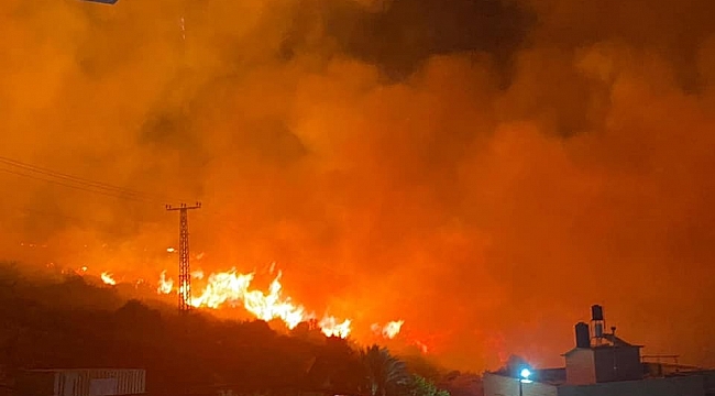 İsrail'de orman yangını 