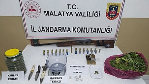 Jandarma'dan kenevir operasyonu 