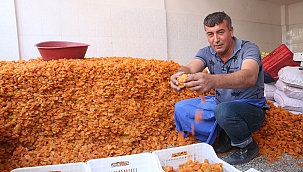 Kuru kayısı da rekor fiyat 50 TL'yi gördü