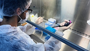 Polonya'da 3'üncü doz aşıya onay!