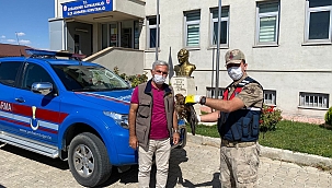 Yaralı şahine jandarma şefkati 