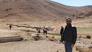 5 bin TL maaşla çoban bulunamıyor