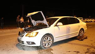 Ağrı'da otomobil sürüye çarptı 