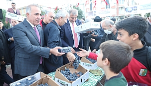 Arapgir Üzüm Festivali Başladı 