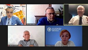 'Coğrafi İşaretler Enstitüsü kurulsun'