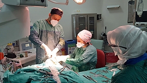 İşitme kaybı yaşayan çocuğa başarılı ameliyat 