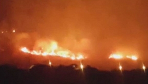İzmir'deki orman yangını kontrol altında 