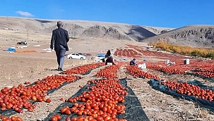 Kaynarca kırmızıya büründü!