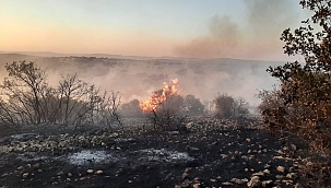 Korkutan orman yangını! 