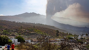 La Palma'da lavlar bin 419 binayı yok etti 