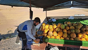 Narmikan kavununda hasat başladı 