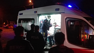 Ordu'da trafik kazası: 2 yaralı 