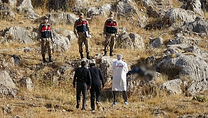 Ormanlık alanda ceset bulundu 