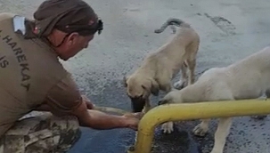 Özel harekat polisi yaptığı hareketle yürekleri ısıttı 