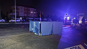 Sakarya'da feci kaza: Canından oldu 