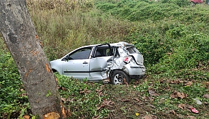 Sakarya'da otomobil şarampole düştü
