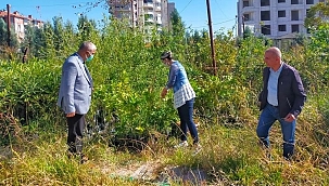 Şarka virüsü alarmı satışlar yasaklandı
